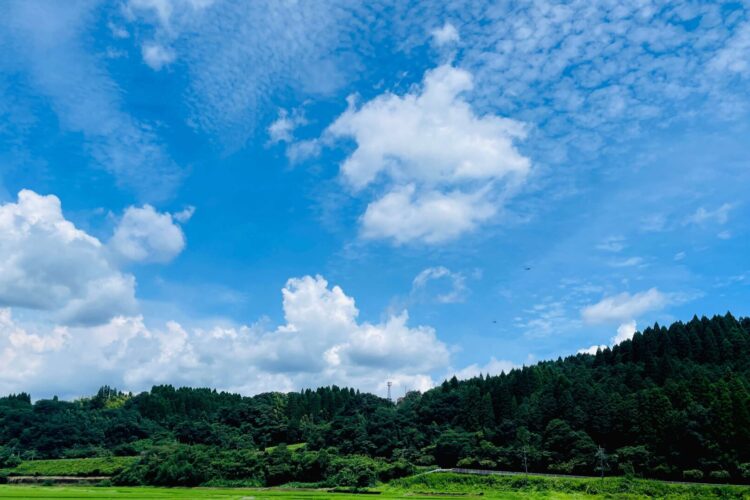 種子島・霧島へ～8.15
