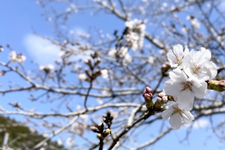 年度末です～3.27